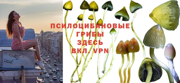 ALPHA PVP Волоколамск