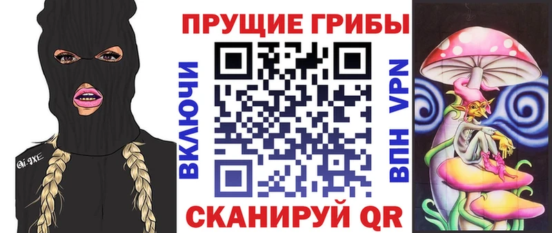 Галлюциногенные грибы GOLDEN TEACHER Железногорск