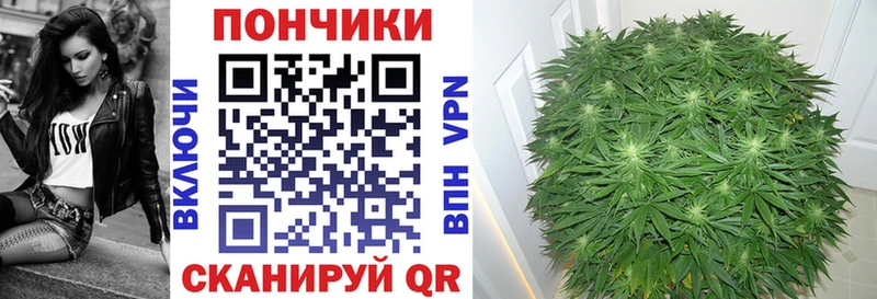 мориарти как зайти  Железногорск  МАРИХУАНА Ganja 